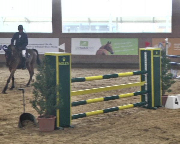 Reitturnier Gut Winkelacker/Obb. 2021