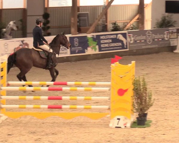 Reitturnier Negernbötel 2021, 11. Nordic Jumping event 2020/2021