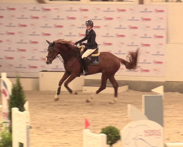 Reitturnier Negernbötel 2021, 11. Nordic Jumping event 2020/2021