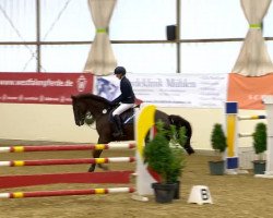 jumper Franzi B (Hanoverian, 2005, from For Edition)