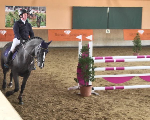 Reitturnier Gut Winkelacker/Obb. 2021
