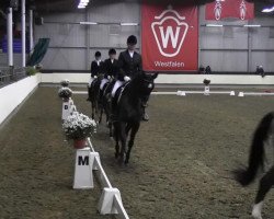 jumper El Chico 67 (Hanoverian, 2006, from Escudo I)