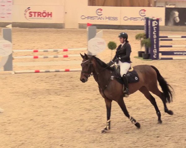 Reitturnier Negernbötel 2021, 11. Nordic Jumping event 2020/2021
