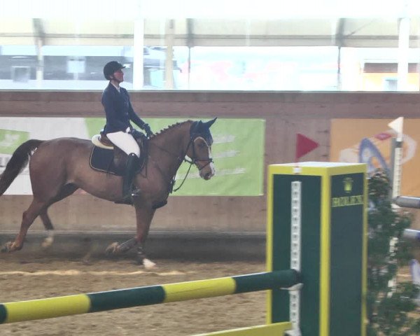 Reitturnier Gut Winkelacker/Obb. 2021