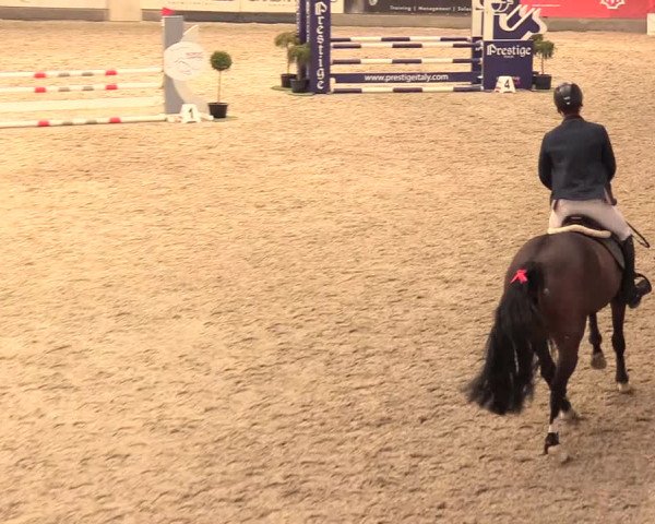 Reitturnier Negernbötel 2021, 11. Nordic Jumping event 2020/2021