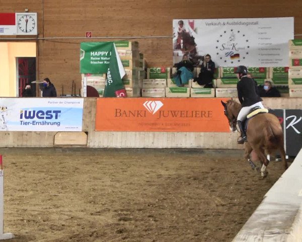 Reitturnier Gut Winkelacker/Obb. 2021