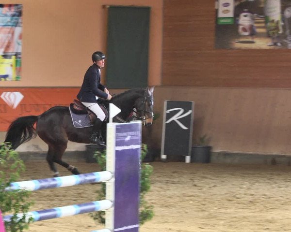 Reitturnier Gut Winkelacker/Obb. 2021
