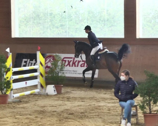 Reitturnier Gut Winkelacker/Obb. 2021