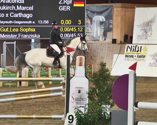 Reitturnier Gut Winkelacker/Obb. 2021
