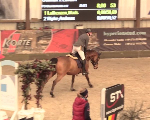 Reitturnier Negernbötel 2021, 11. Nordic Jumping event 2020/2021