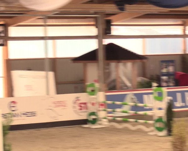 Reitturnier Negernbötel 2021, 11. Nordic Jumping event 2020/2021