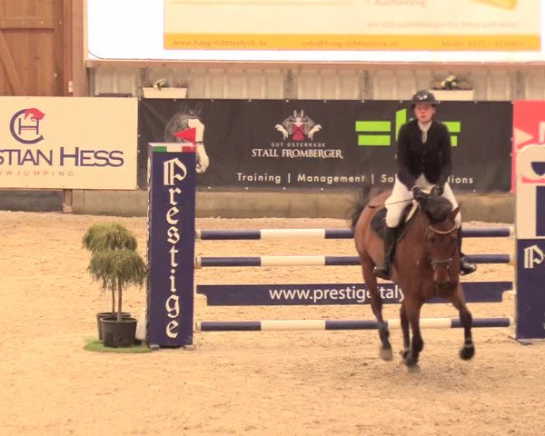 Reitturnier Negernbötel 2021, 11. Nordic Jumping event 2020/2021