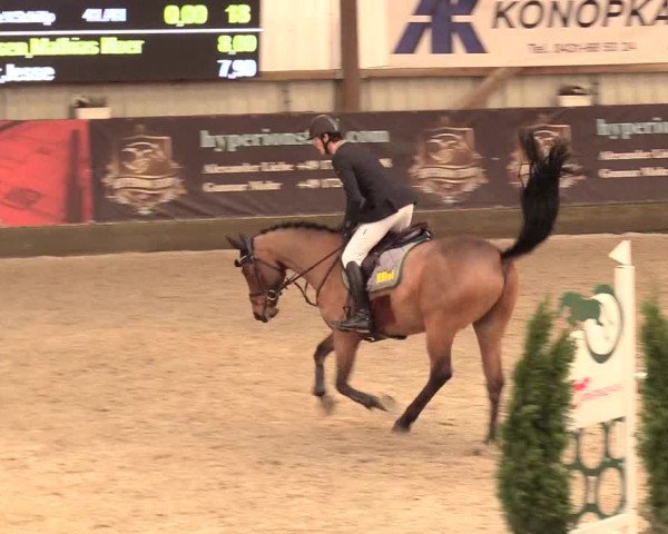 Reitturnier Negernbötel 2021, 11. Nordic Jumping event 2020/2021