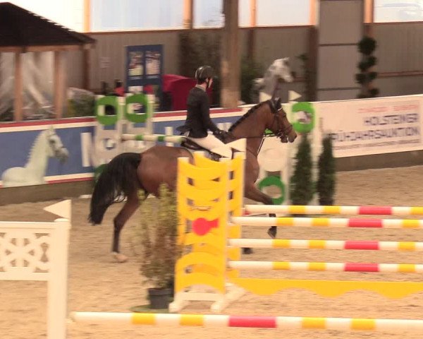 Reitturnier Negernbötel 2021, 11. Nordic Jumping event 2020/2021