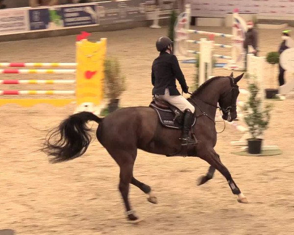 Reitturnier Negernbötel 2021, 11. Nordic Jumping event 2020/2021