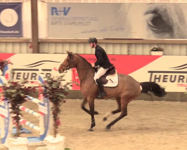 Reitturnier Negernbötel 2021, 11. Nordic Jumping event 2020/2021