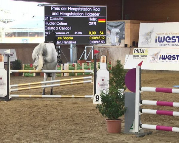 Reitturnier Gut Winkelacker/Obb. 2021