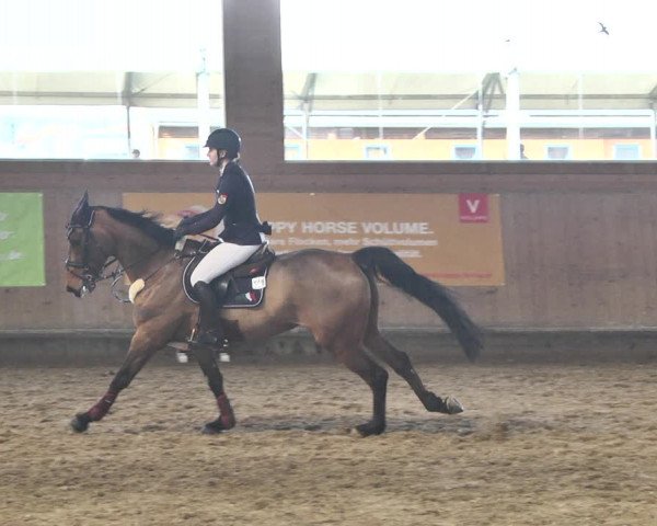 Reitturnier Gut Winkelacker/Obb. 2021