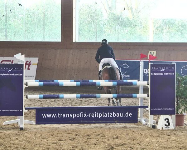 Reitturnier Gut Winkelacker/Obb. 2021