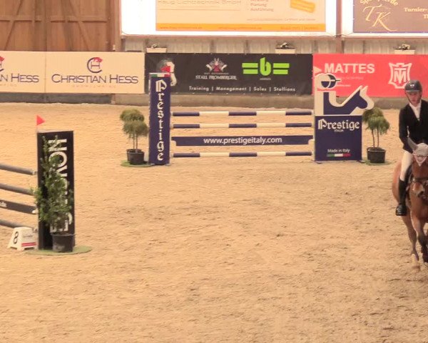 Reitturnier Negernbötel 2021, 11. Nordic Jumping event 2020/2021
