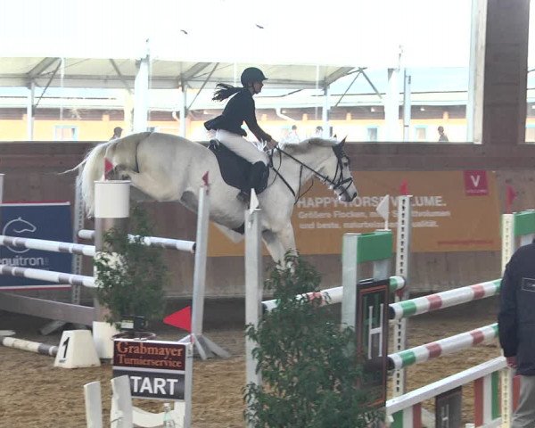 Reitturnier Gut Winkelacker/Obb. 2021