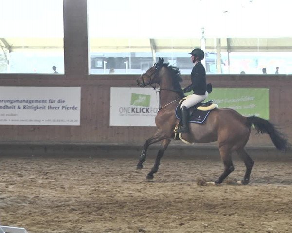 Reitturnier Gut Winkelacker/Obb. 2021
