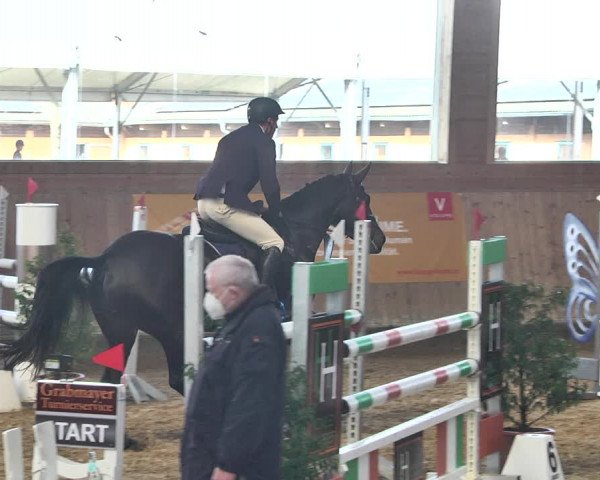 Reitturnier Gut Winkelacker/Obb. 2021