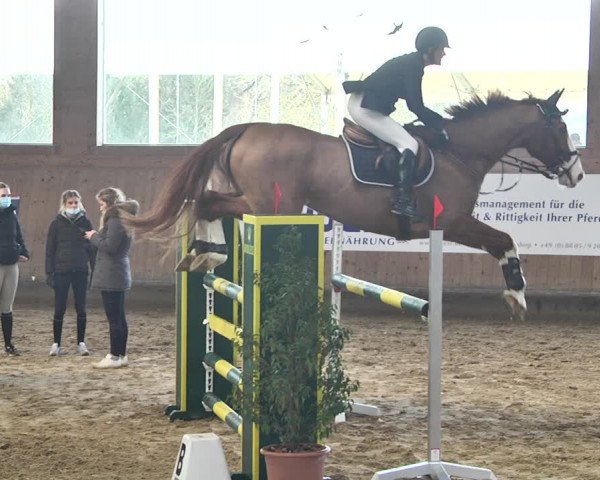 Reitturnier Gut Winkelacker/Obb. 2021