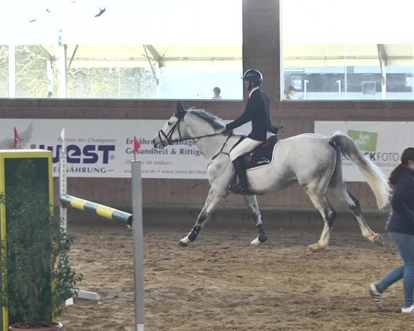 Reitturnier Gut Winkelacker/Obb. 2021