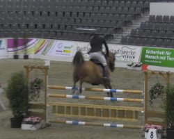 jumper For Ever 57 (Hanoverian, 2007, from For Pleasure)