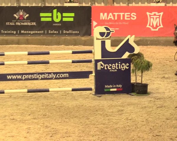 Reitturnier Negernbötel 2021, 11. Nordic Jumping event 2020/2021