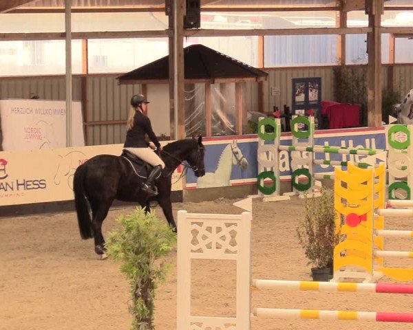 Reitturnier Negernbötel 2021, 11. Nordic Jumping event 2020/2021