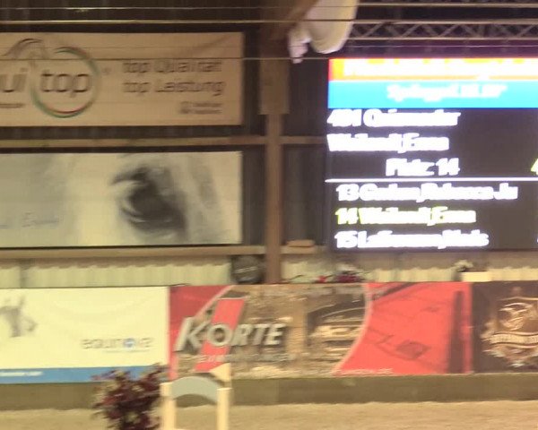 Reitturnier Negernbötel 2021, 11. Nordic Jumping event 2020/2021