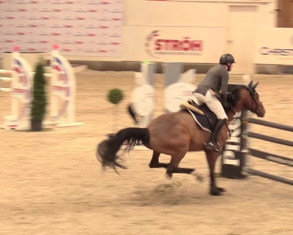 Reitturnier Negernbötel 2021, 11. Nordic Jumping event 2020/2021