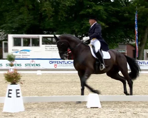 Dressurpferd Havalon (Hannoveraner, 2007, von Hotline)