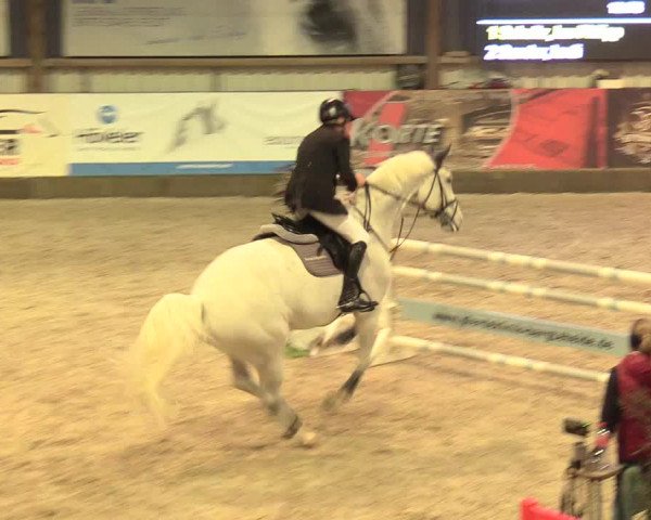 Reitturnier Negernbötel 2021, 11. Nordic Jumping event 2020/2021