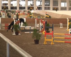 jumper Helesse Noir (Hanoverian, 2006, from High Spirits)