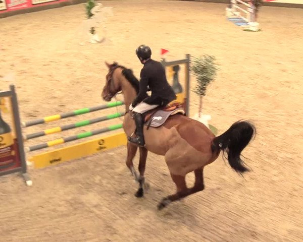 Reitturnier Negernbötel 2021, 11. Nordic Jumping event 2020/2021