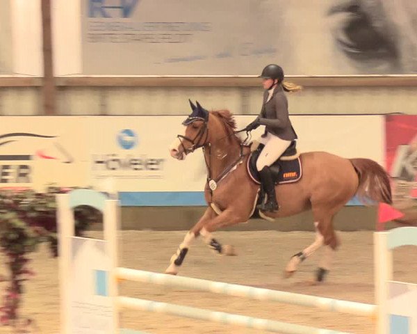 Reitturnier Negernbötel 2021, 11. Nordic Jumping event 2020/2021