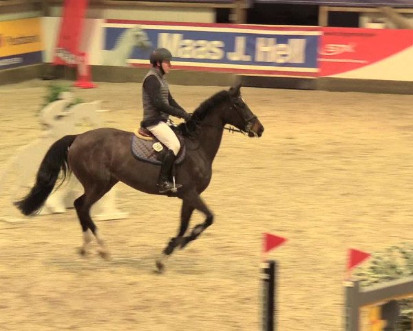 Reitturnier Negernbötel 2021, 11. Nordic Jumping event 2020/2021