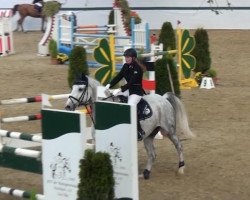 jumper Levisto M (Hanoverian, 2002, from Levisto Z)