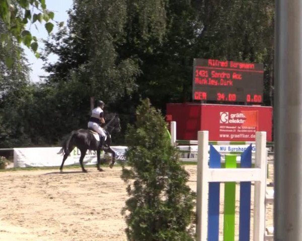 jumper Sandro Roc (Hanoverian, 2002, from Sandro Hit)