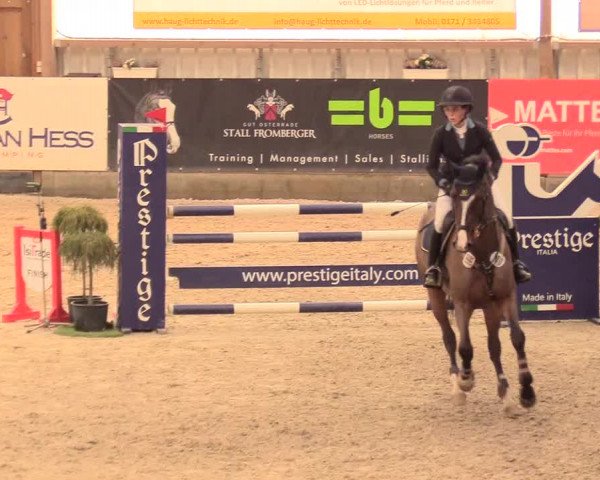 Reitturnier Negernbötel 2021, 11. Nordic Jumping event 2020/2021