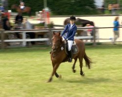jumper Filia Florencii (Hanoverian, 2007, from Florencio I)