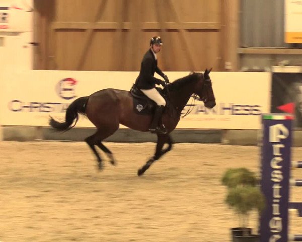 Reitturnier Negernbötel 2021, 11. Nordic Jumping event 2020/2021