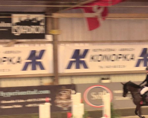 Reitturnier Negernbötel 2021, 11. Nordic Jumping event 2020/2021