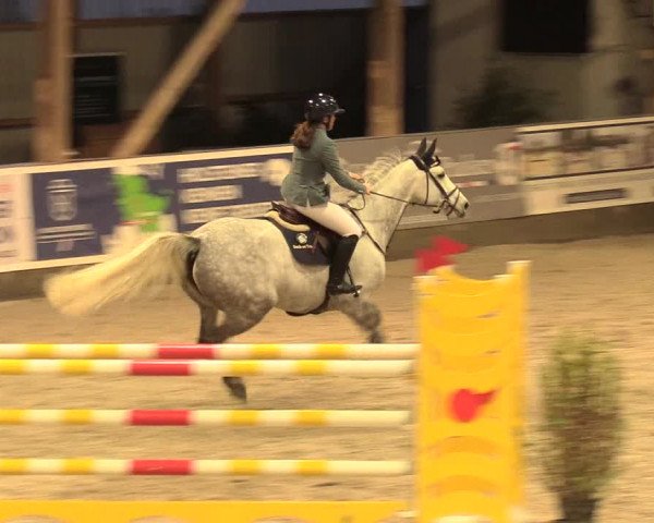 Reitturnier Negernbötel 2021, 11. Nordic Jumping event 2020/2021