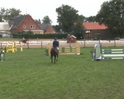 Springpferd Quincy Queen (Hannoveraner, 2004, von Quidam's Rubin)