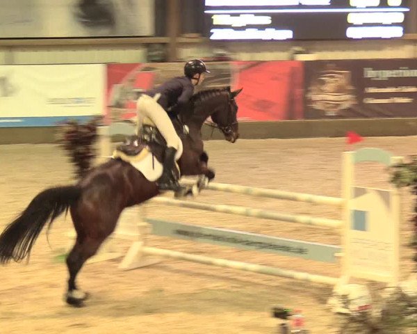 Reitturnier Negernbötel 2021, 11. Nordic Jumping event 2020/2021