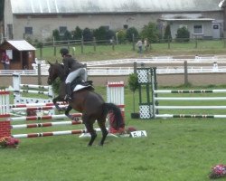 jumper Cescada (Hanoverian, 2007, from Contendro I)